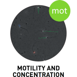 SCA Motility and concentration