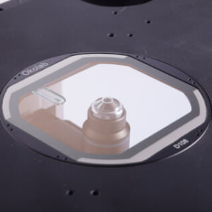 Glass Plates