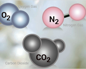 CO2-O2 Controllers